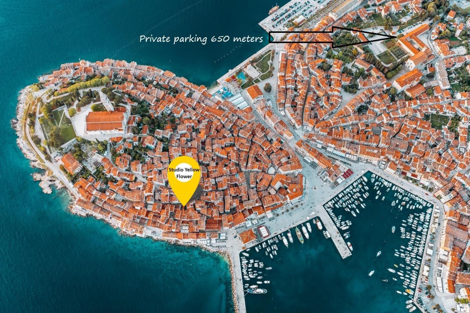Studio Yellow Flower Rovinj Luaran gambar