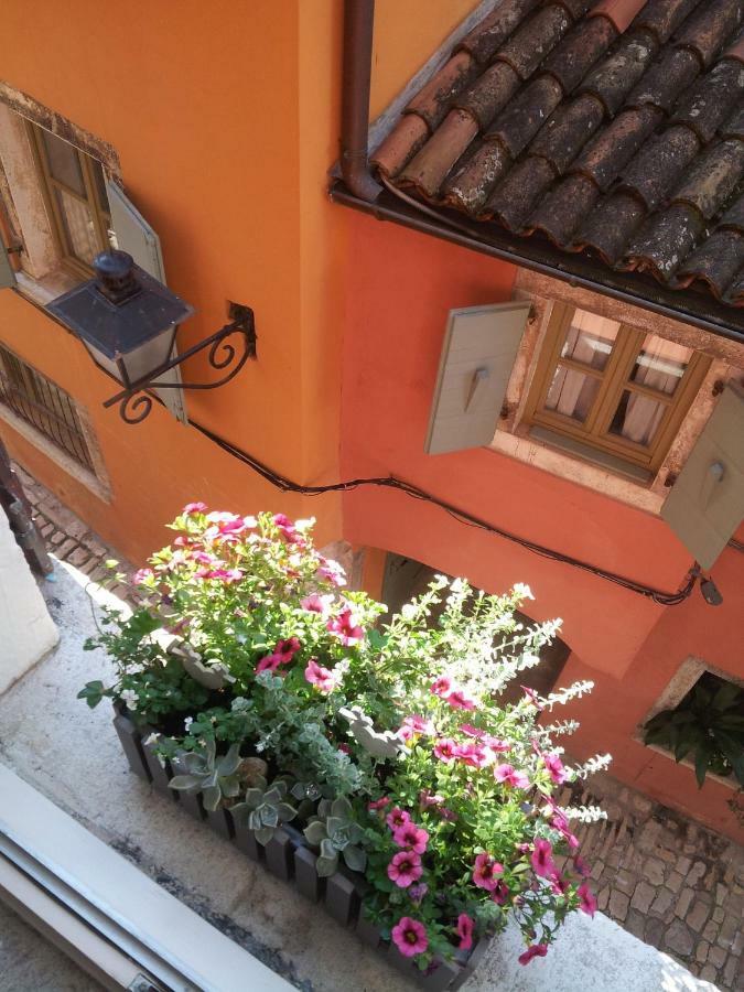 Studio Yellow Flower Rovinj Luaran gambar