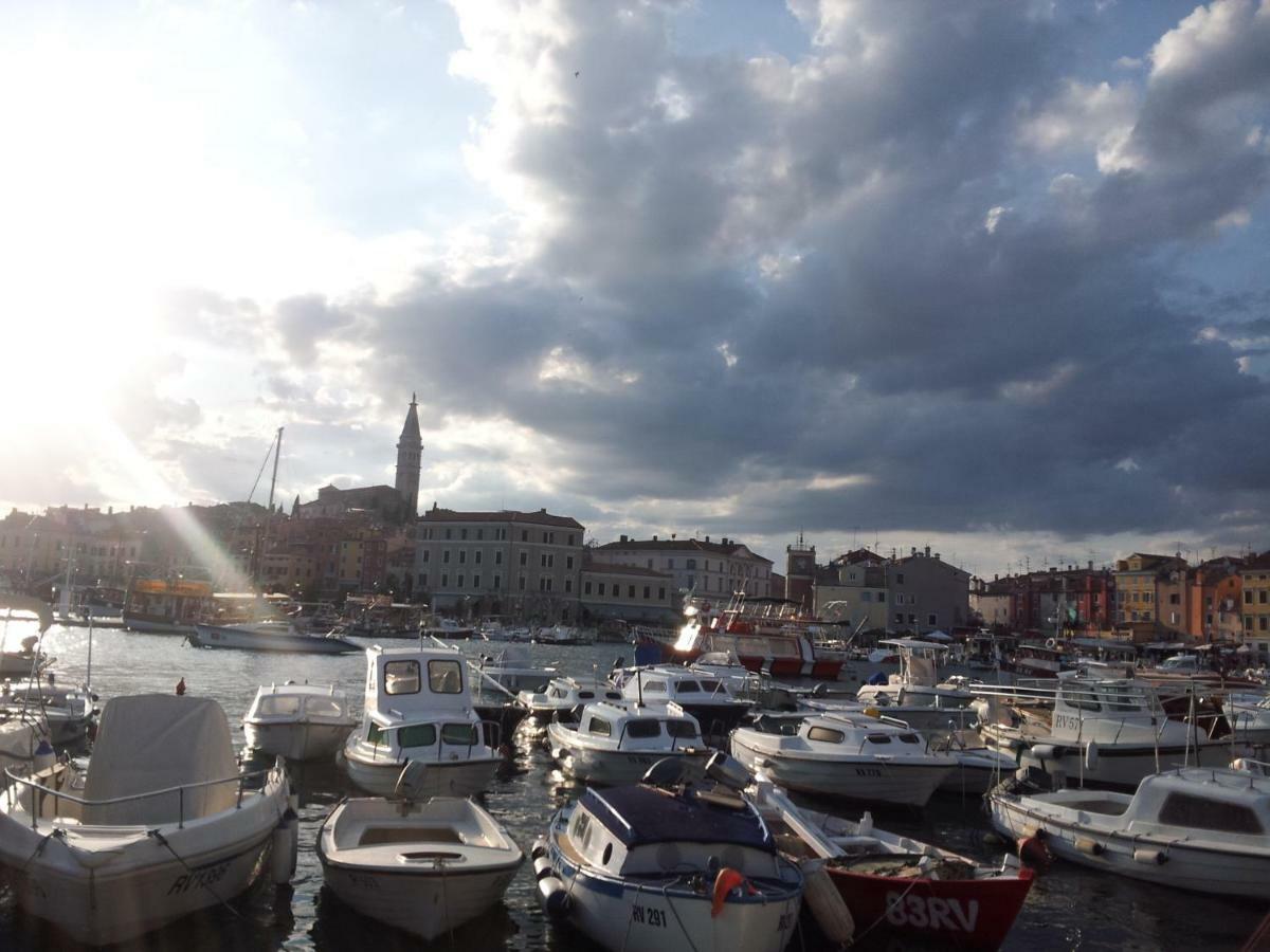 Studio Yellow Flower Rovinj Luaran gambar